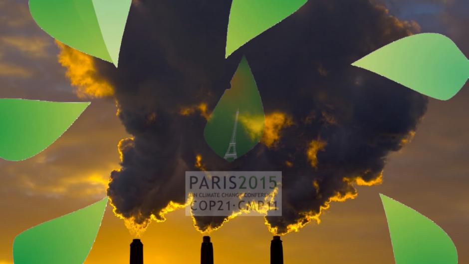 COP 21 : « L’État d'urgence climatique décrété par les citoyens du monde »