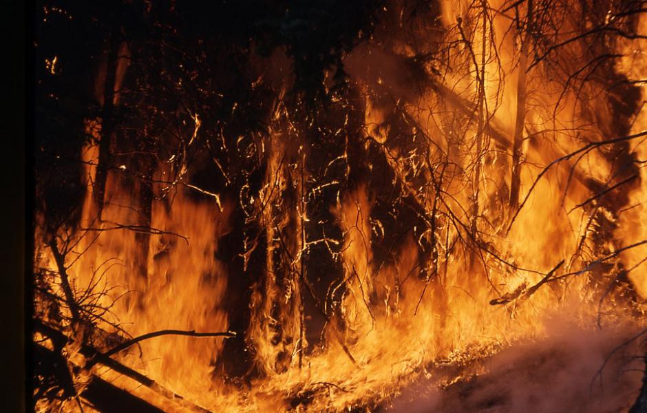 Incendies : Pas de fatalité pour les feux de forêts
